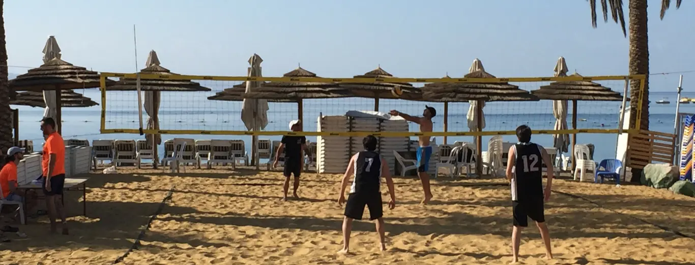 עורך תוכן מכניס טקסט