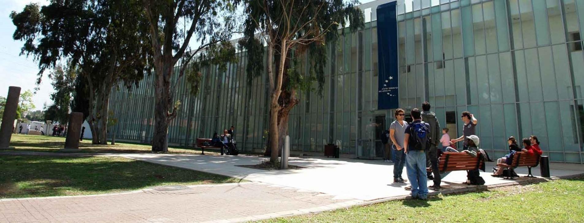 עורך תוכן מכניס טקסט