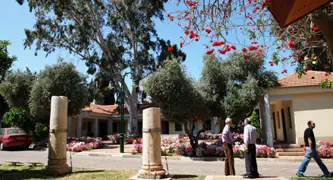 שדרה באוניברסיטה