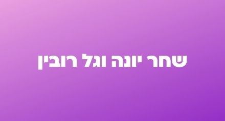 Shahar Yona and Gal Rubin slide in white on a purple background