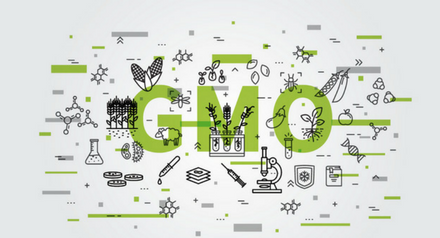 גרפיקה GMO