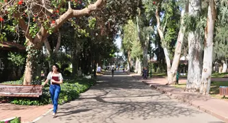 אישה הולכת בשביל בחצר